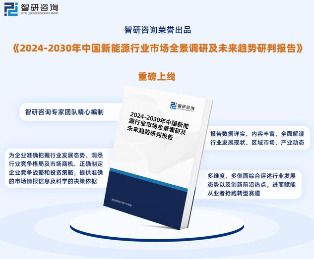 2024新奥资料免费公开，探索可持续发展新路径-图6