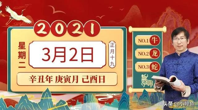 2024澳门特马今晚开奖53期,经典解读说明_标准版12.175