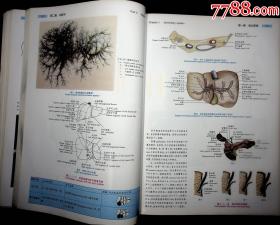 免费资料分享，024新奥正版资料全面解析-图8