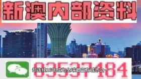 2024新澳精准资料免费下载及专业解读-图4